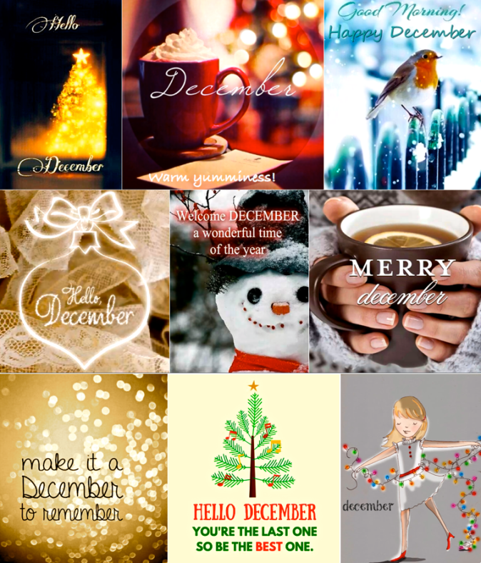 Screen Shot 2016-12-01 at 10.05.40 AM.png