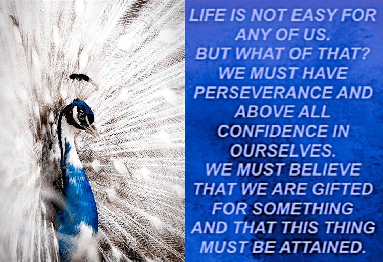 Screen Shot 2016-12-01 at 10.16.16 PM.png