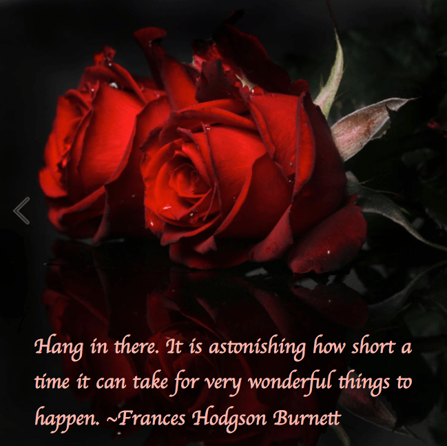 Screen Shot 2016-12-01 at 10.21.57 PM.png