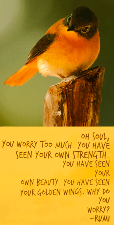 Screen Shot 2016-12-01 at 10.29.22 PM.png