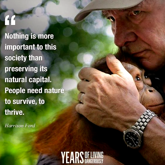 Screen Shot 2016-12-01 at 10.47.59 PM.png