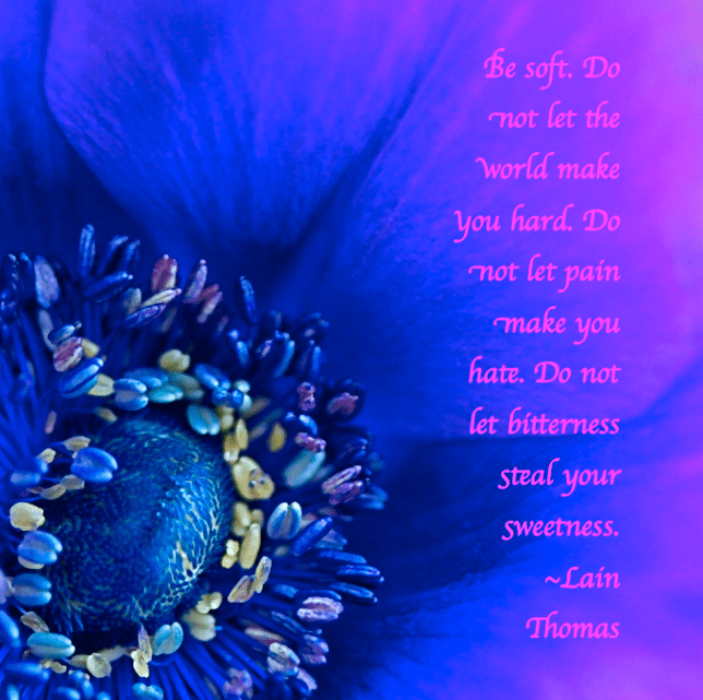 Screen Shot 2016-12-01 at 8.14.50 PM.png