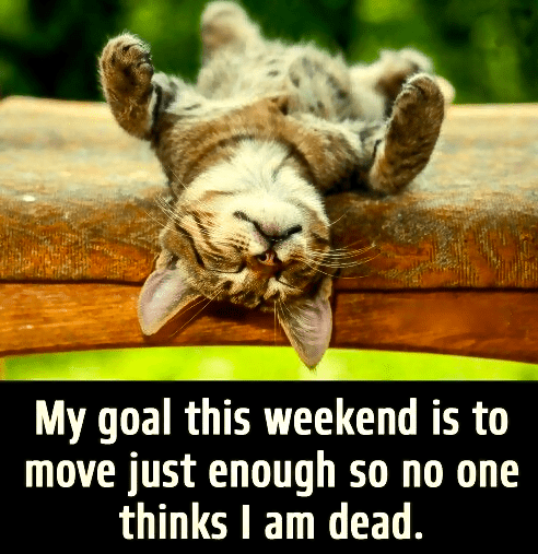 Screen Shot 2016-12-02 at 10.13.51 PM.png