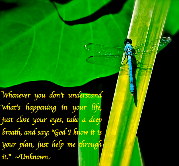 Screen Shot 2016-12-02 at 7.14.42 PM.png