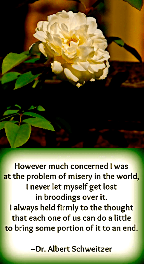 Screen Shot 2016-12-04 at 2.11.28 PM.png