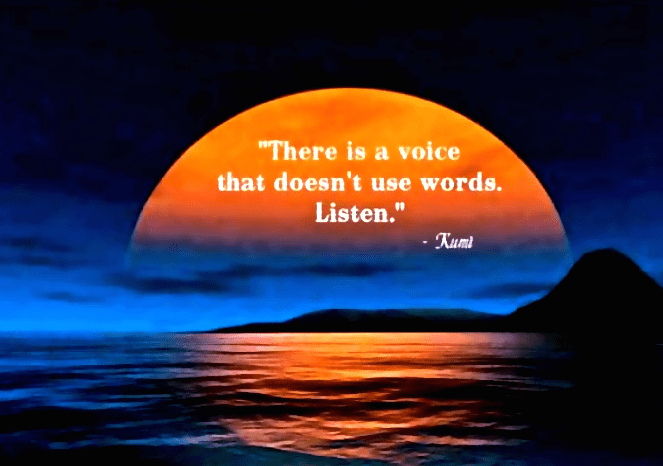 Screen Shot 2016-12-04 at 2.12.53 PM.png