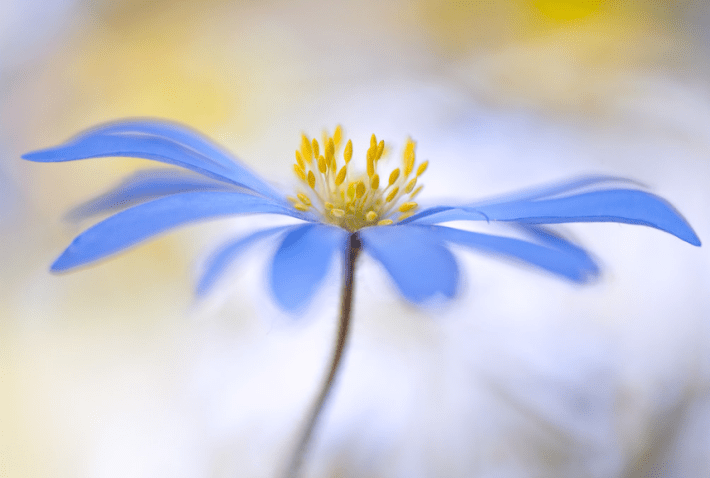 Screen Shot 2016-12-04 at 9.47.20 PM.png