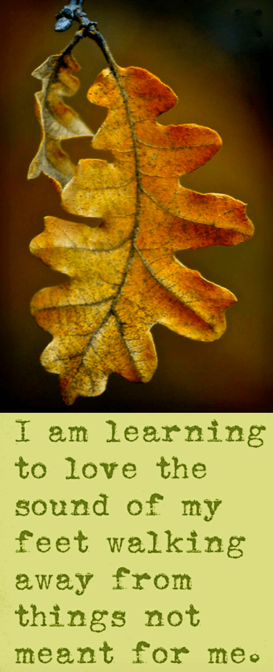 Screen Shot 2016-12-05 at 10.29.58 PM.png