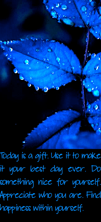 Screen Shot 2016-12-05 at 10.37.25 PM.png