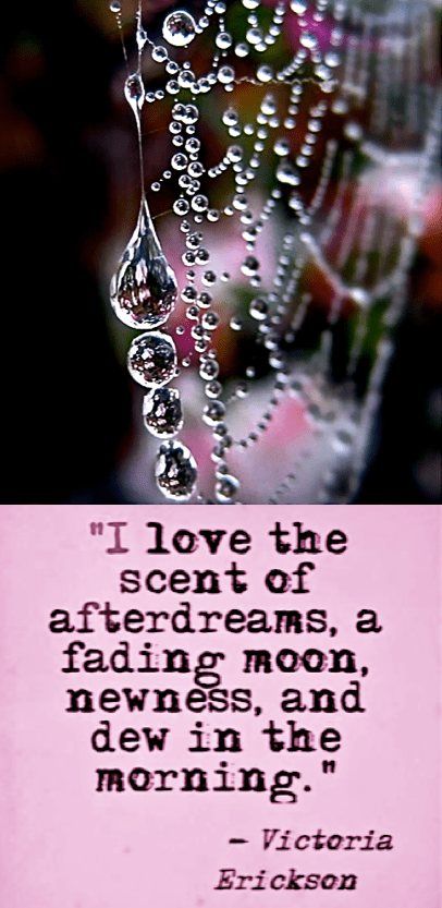 Screen Shot 2016-12-05 at 10.48.15 PM.png