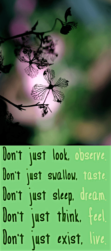 Screen Shot 2016-12-06 at 11.15.55 PM.png