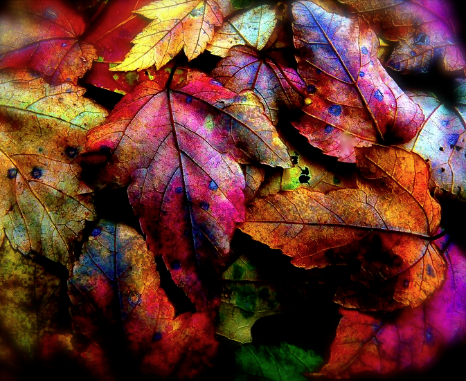 Screen Shot 2016-12-06 at 8.08.29 PM.png