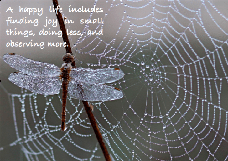 Screen Shot 2016-12-08 at 10.46.30 PM.png