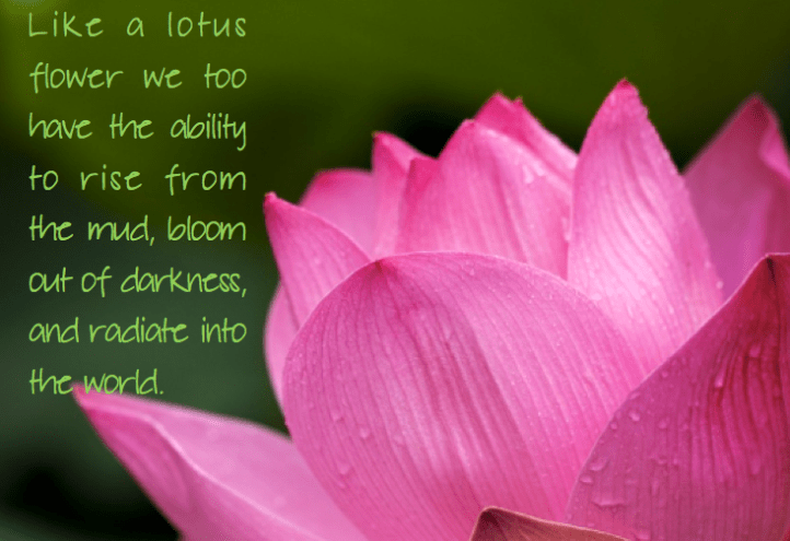 Screen Shot 2016-12-08 at 11.07.21 PM.png