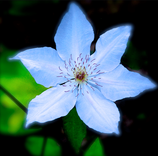 Screen Shot 2016-12-08 at 7.21.21 PM.png