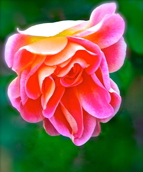 Screen Shot 2016-12-08 at 7.21.44 PM.png