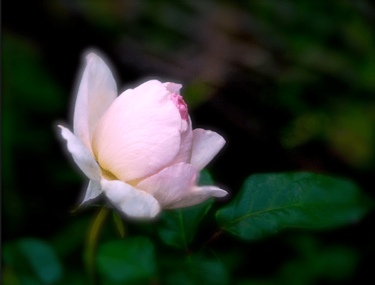 Screen Shot 2016-12-08 at 7.22.02 PM.png