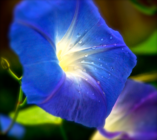 Screen Shot 2016-12-08 at 7.54.01 PM.png