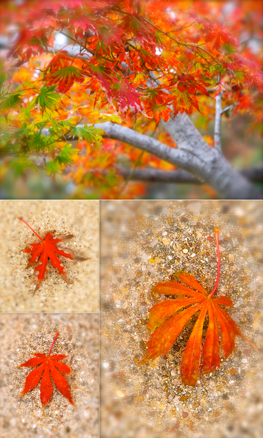 Screen Shot 2016-12-09 at 7.29.03 PM.png