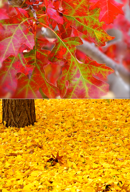 Screen Shot 2016-12-09 at 7.50.47 PM.png