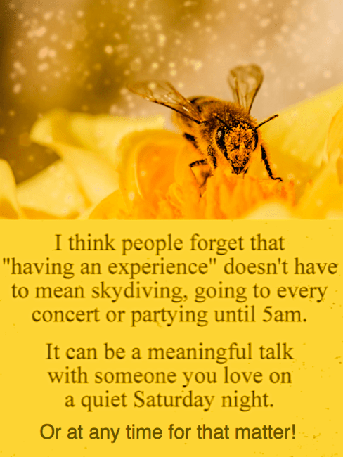 Screen Shot 2016-12-12 at 10.26.09 PM.png