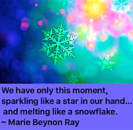 Screen Shot 2016-12-12 at 10.44.25 AM.png