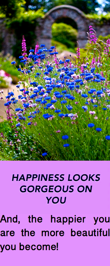 Screen Shot 2016-12-12 at 9.51.43 PM.png