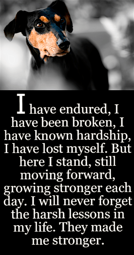 Screen Shot 2016-12-12 at 9.59.41 PM.png