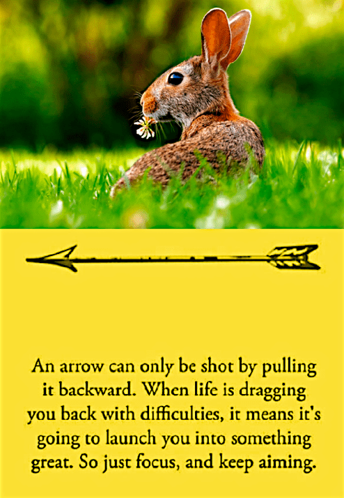 Screen Shot 2016-12-14 at 9.47.00 PM.png