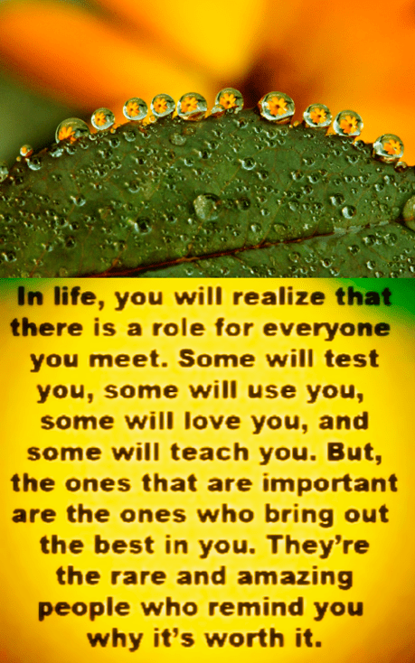 Screen Shot 2016-12-14 at 9.50.12 PM.png