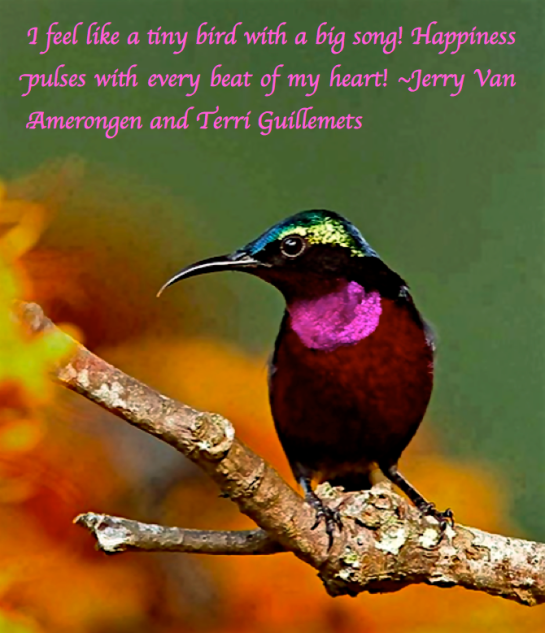 Screen Shot 2016-12-16 at 8.42.17 PM.png