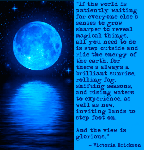 Screen Shot 2016-12-16 at 8.54.57 PM.png