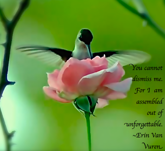 Screen Shot 2016-12-17 at 11.03.59 PM.png