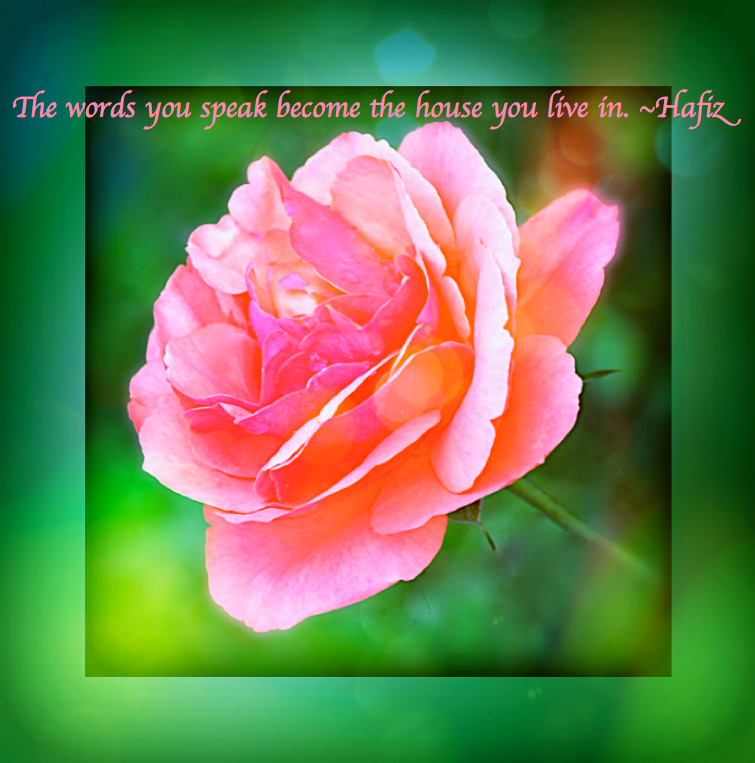 Screen Shot 2016-12-17 at 5.49.07 PM.png