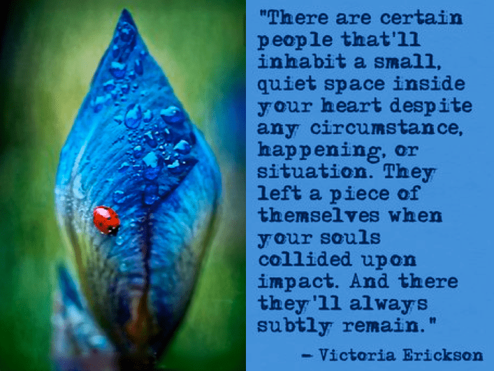 Screen Shot 2016-12-18 at 10.06.32 PM.png