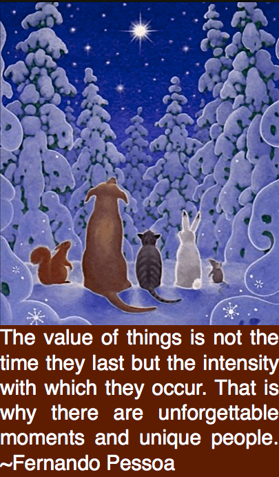 Screen Shot 2016-12-18 at 8.42.04 PM.png