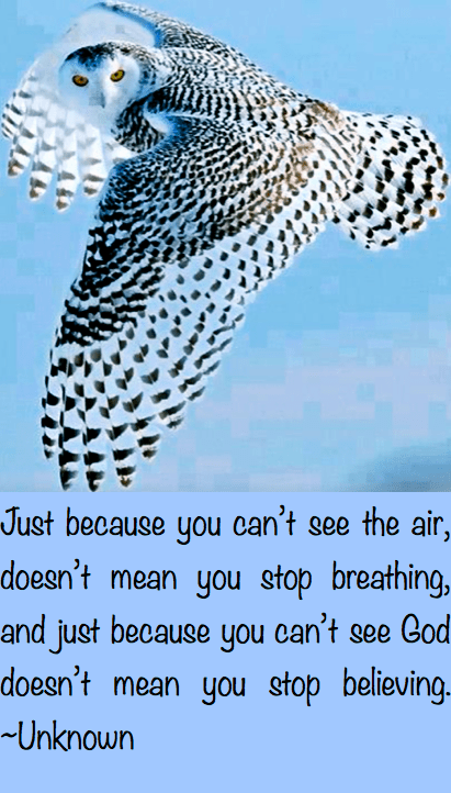 Screen Shot 2016-12-18 at 8.55.06 PM.png