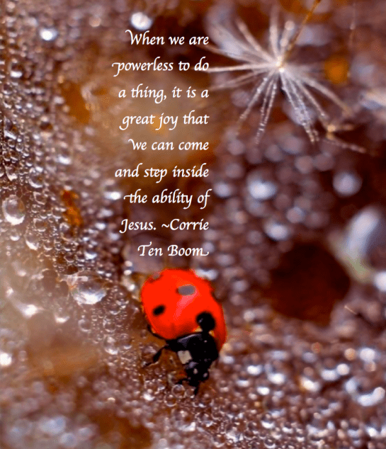 Screen Shot 2016-12-18 at 9.03.50 PM.png