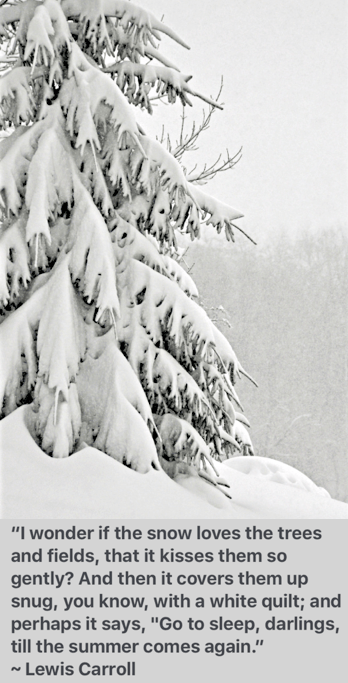 Screen Shot 2016-12-18 at 9.29.23 PM.png