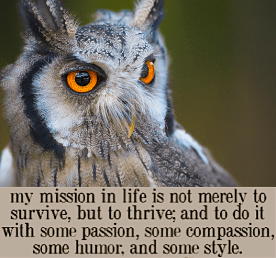 Screen Shot 2016-12-19 at 9.42.36 PM.png