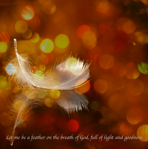 Screen Shot 2016-12-20 at 6.57.46 PM.png