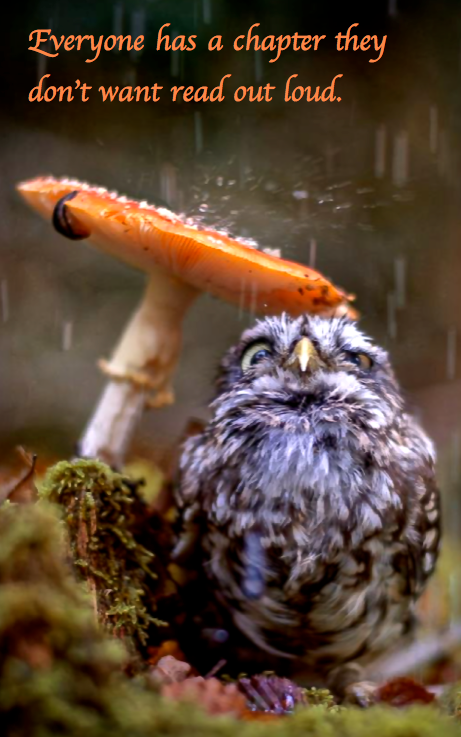 Screen Shot 2016-12-21 at 8.07.04 PM.png