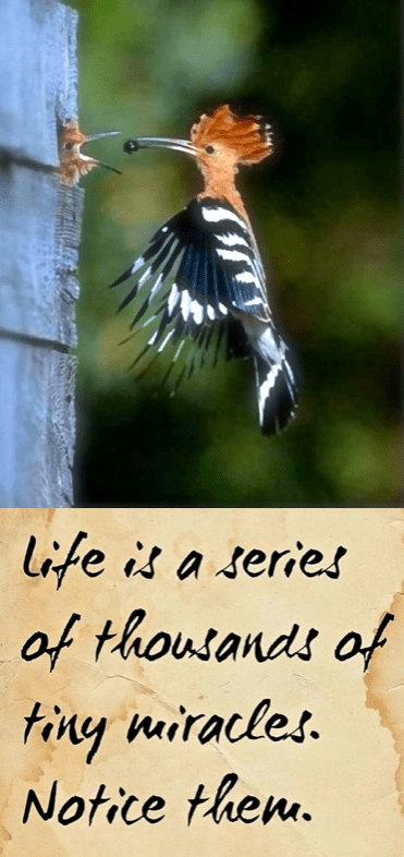 Screen Shot 2016-12-21 at 8.16.15 PM.png