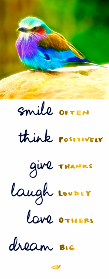 Screen Shot 2016-12-21 at 8.19.06 PM.png