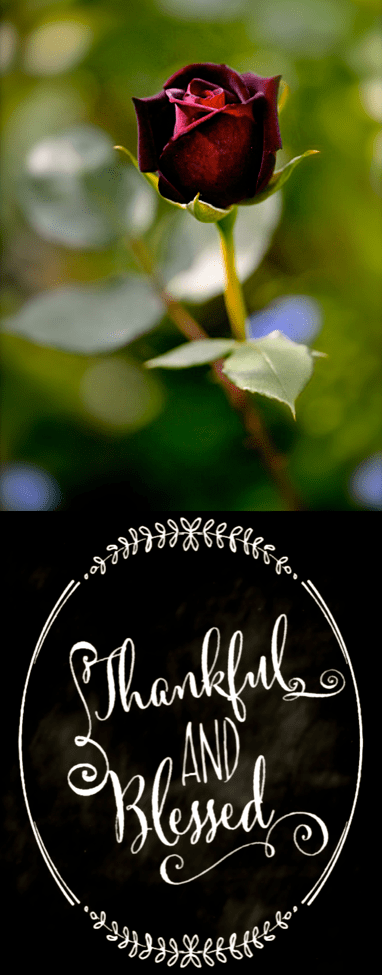 Screen Shot 2016-12-26 at 10.11.50 PM.png