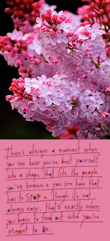 Screen Shot 2016-12-28 at 10.24.29 PM.png