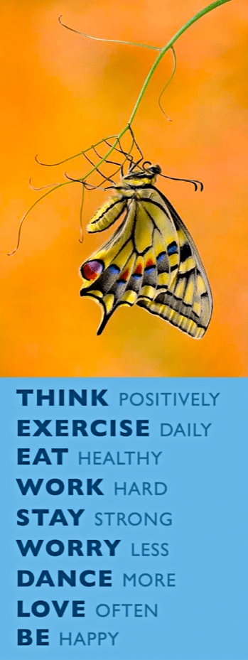 Screen Shot 2016-12-28 at 9.43.01 PM.png