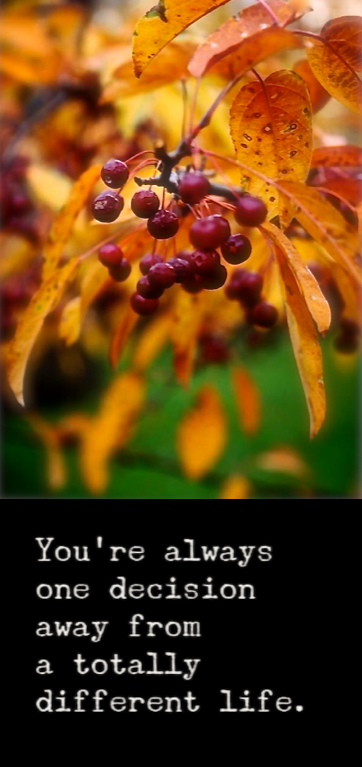 Screen Shot 2016-12-28 at 9.44.36 PM.png