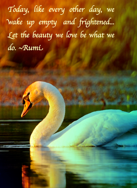 Screen Shot 2016-12-30 at 10.06.15 PM.png