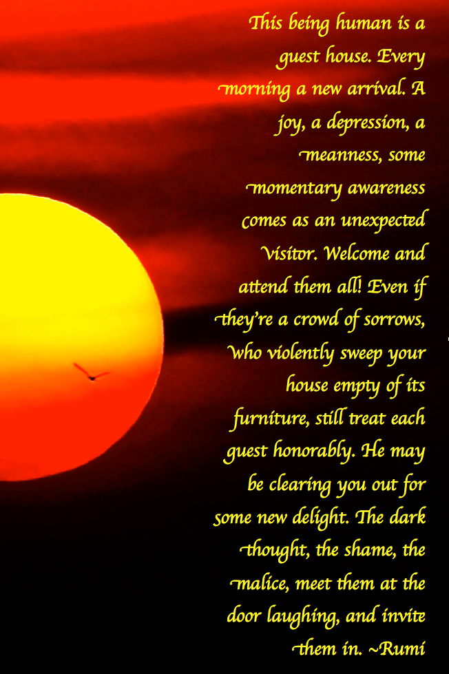 Screen Shot 2016-12-30 at 9.03.37 PM.png